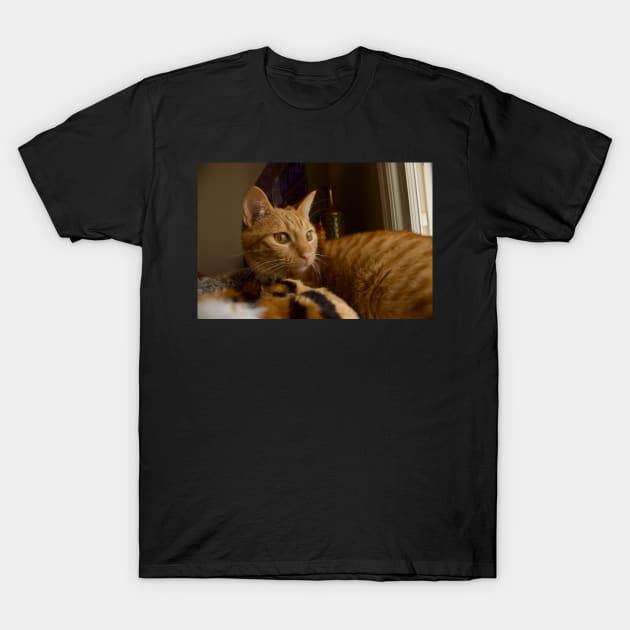 Orange Cat T-Shirt by bwakey77